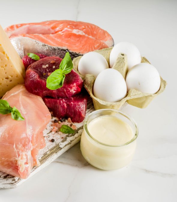 מגוון מקורות חלבון איכותיים הכוללים סלמון, ביצים, סלק, גבינה רכה, ויוגורט על רקע בהיר.